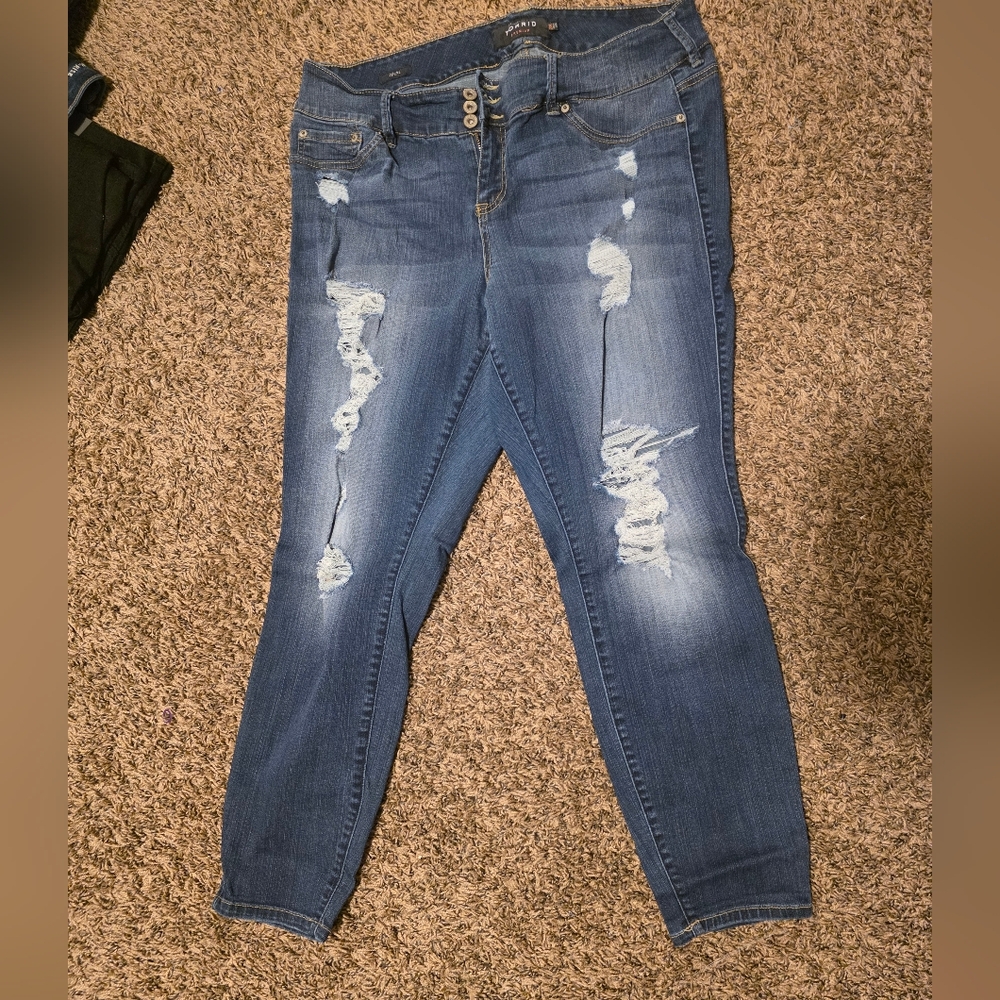 Torrid  Distressed Jeggings